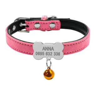 Personalized ID Tags Leash