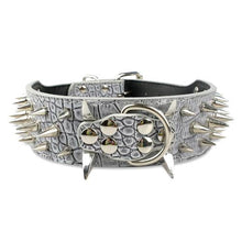 Load image into Gallery viewer, Sharp Spiked Leather Leash