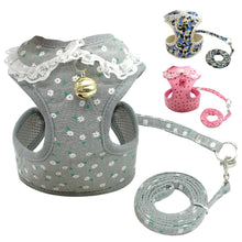 Load image into Gallery viewer, Soft Mesh Pet Puppy Dog Cat Harness Leash Set