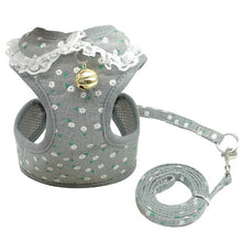 Load image into Gallery viewer, Soft Mesh Pet Puppy Dog Cat Harness Leash Set