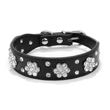 Load image into Gallery viewer, Glittering Leather Leash