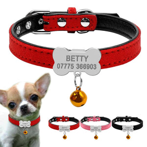 Personalized ID Tags Leash