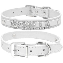 Load image into Gallery viewer, Personalized Puppy Leash