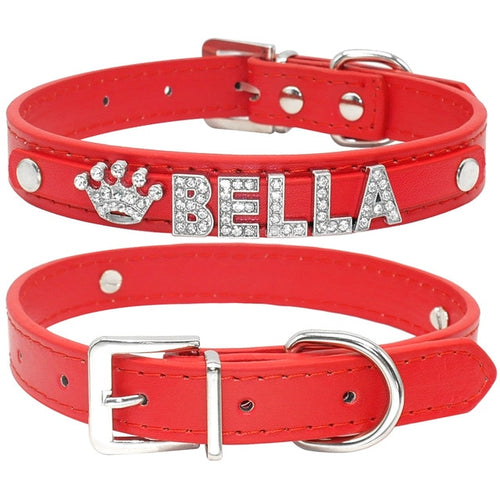Personalized Puppy Leash