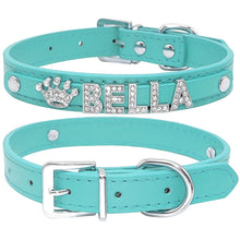 Load image into Gallery viewer, Personalized Puppy Leash