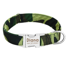 Load image into Gallery viewer, Patterned Nylon Collar