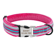 Load image into Gallery viewer, Personalized Nylon Dog Leash